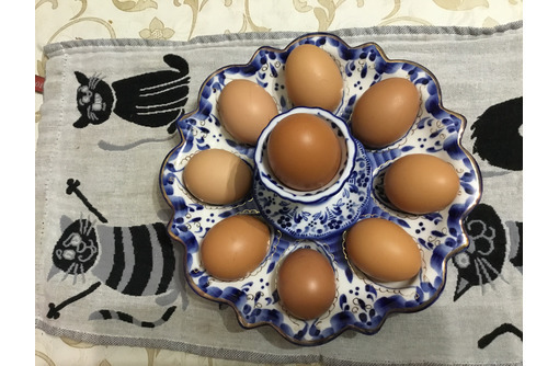 Яйца домашних курочек продаю г. Евпатория - Эко-продукты, фрукты, овощи в Евпатории
