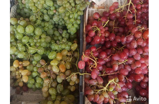 Свой Виноград на вино и чачу - Эко-продукты, фрукты, овощи в Севастополе