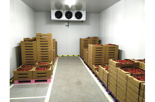 Холодильные Агрегаты на Компрессорах "Bitzer" для Овощехранилищ и Холодильных Камер - Продажа в Армянске