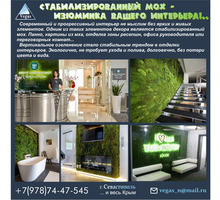 Стабилизированный мох для создания эко-стиля в вашем интерьере - Ремонт, отделка в Крыму