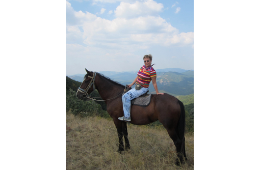 Продам коней!!! - Сельхоз животные в Феодосии