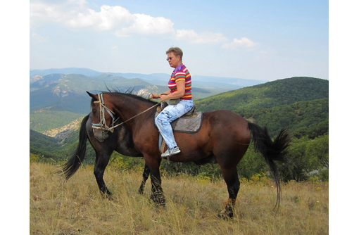Продам коней!!! - Сельхоз животные в Феодосии