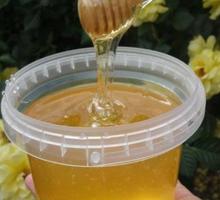 Мёд Акация - Пчеловодство в Симферополе