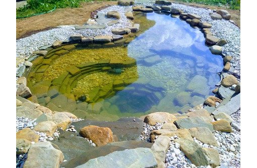 Как сделать красивый искусственный водоем на дачном участке: фото и идеи дизайна прудов