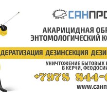 Уничтожение тараканов, дезинфекция в Севастополе - Клининговые услуги в Севастополе
