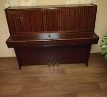 Пианино Петрофф (Petrof) - Клавишные инструменты в Крыму