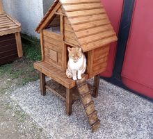 Изготовление домиков для кошек - Продажа в Саках