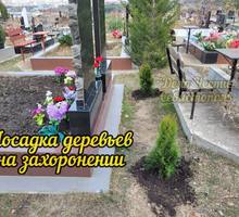 Посадка деревьев и растений на могиле - Ритуальные услуги в Севастополе