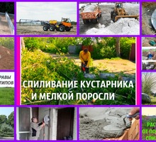 Спиливание деревьев Демонтаж Планировка участка - Ландшафтный дизайн в Севастополе