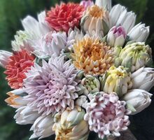 ​Цветы из зефира в Симферополе – необычные подарки на любой вкус! - Свадьбы, торжества в Симферополе