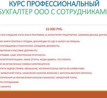 Курс Профессиональный «Бухгалтер в единственном лице, с НДС» - Курсы учебные в Севастополе