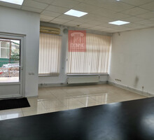 Сдается офис, 66м² - Сдам в Севастополе