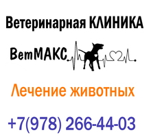 ​Клиника «ВетMAX» в Бахчисарае – профессиональная помощь домашним животным - Ветеринарные услуги в Крыму