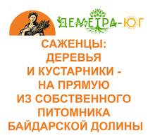 Саженцы в Крыму: деревья, кустарники и хвойники - из собственного питомника Байдарской Долины - Саженцы, растения в Симферополе
