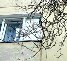 Продажа комнаты 20м² - Комнаты в Севастополе