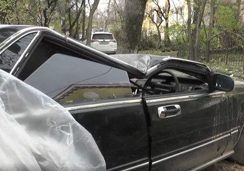 Эксклюзивный ретро-автомобиль пострадал в результате падения дерева в Крыму