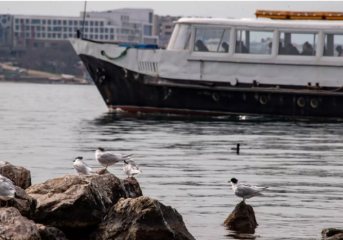 В Севастополе остановили пассажирские катера - причина