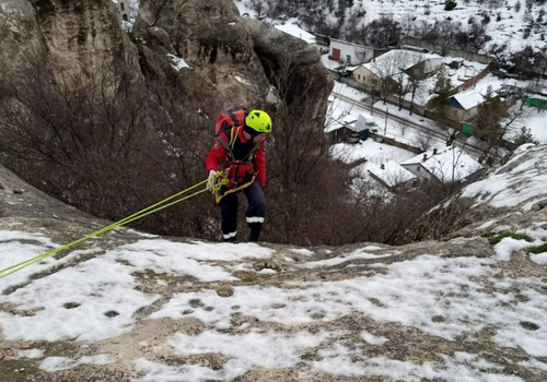 В Крыму из пятиметрового ущелья спасли упавшую со скалы собаку
