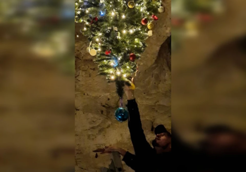 В Крыму нарядили экстравагантную елку: новогоднее деревце украсило пещеру Тавриду