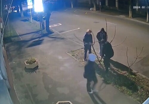 В Симферополе попали на видео малолетние вандалы, ломающие деревья