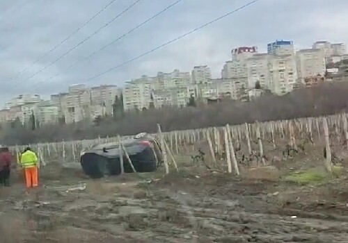 В Крыму внедорожник вылетел с трассы, перевернулся и приземлился в виноградник