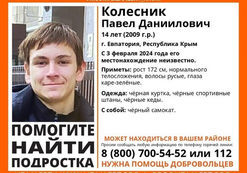 В Крыму разыскивают пропавшего подростка 