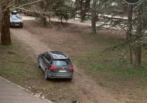 Газон на улице Гаспринского в Симферополе превратился в стихийную парковку