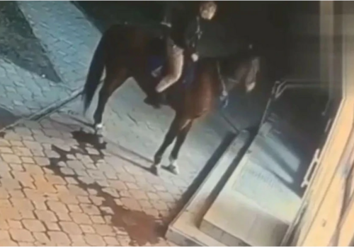 «Заскочила» в магазин: в Крыму женщина прямо на коне заехала в алкомаркет