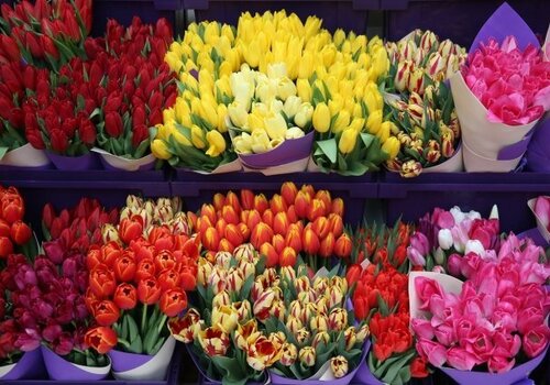 Поздравить женщин Крыма мужчинам обойдётся недёшево, особенно купить цветы