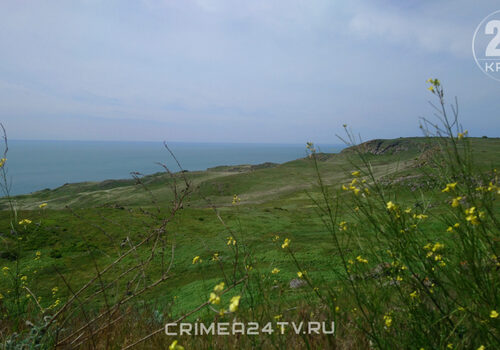 Опукский и Казантипский заповедники в Крыму откроют в начале апреля