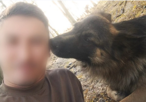 Вцепился зубами в начиненный взрывчаткой дрон: фронтовой пес погиб, защищая бойцов