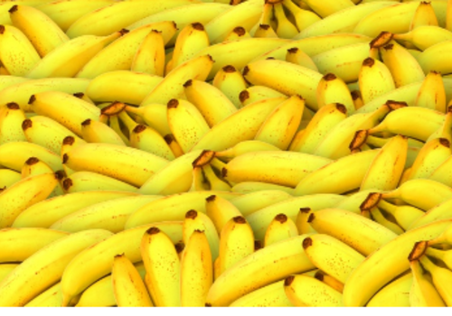 Бананы еще вырастут в цене и начнут пропадать из магазинов