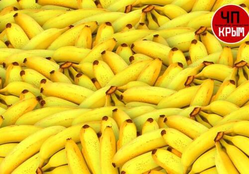 Бананы еще вырастут в цене и начнут пропадать из магазинов