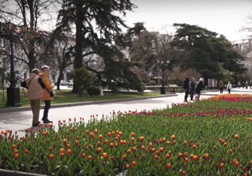 Краски весны: в Севастополе началась пора тюльпанов