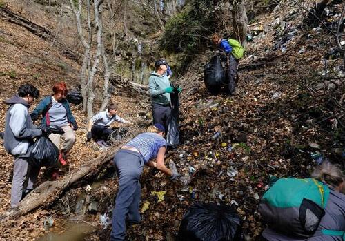 Труднодоступный участок в лесу Ялты очистили от мусора