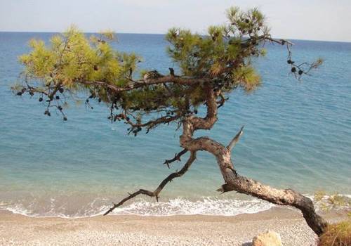 Крымские пляжи разделят на общедоступные и с ограниченным доступом