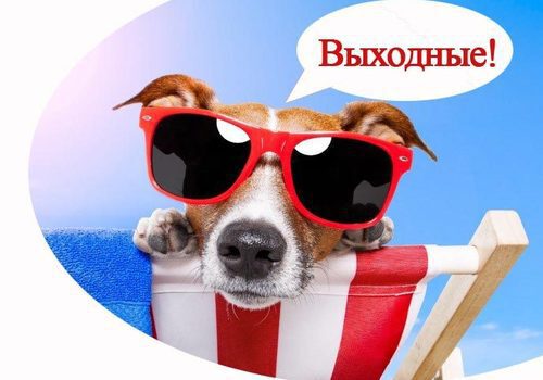Жители Севастополя будут отдыхать три дня подряд