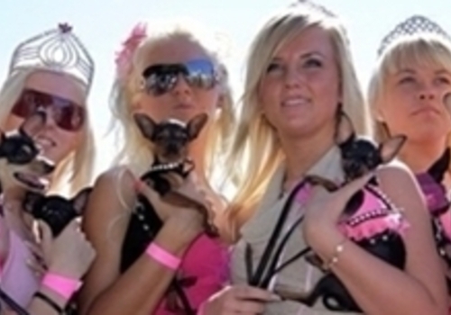Тысяча блондинок устроит в Севастополе парад