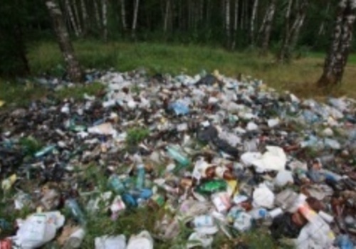 Крымчан накажут за мусор