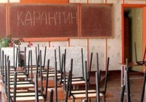 В Севастополе пока не будут закрывать все школы на карантин, – директор департамента образования