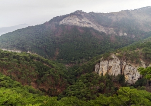В крымских горах девушка сорвалась со скалы