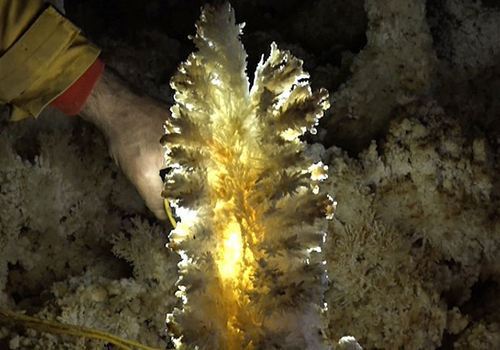 В крымской пещере нашли уникальный «клад» (ФОТО)