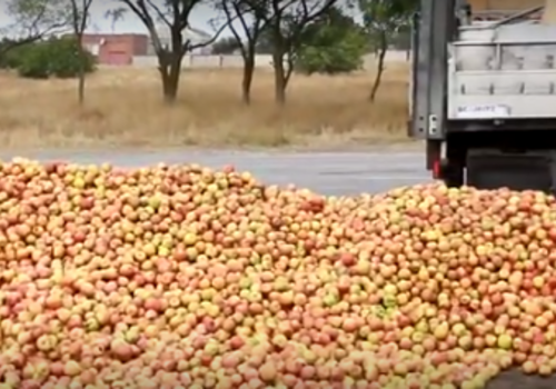 В Крыму местные жители разворовали сотни килограмм яблок из грузовика, остановившегося на трассе ВИДЕО