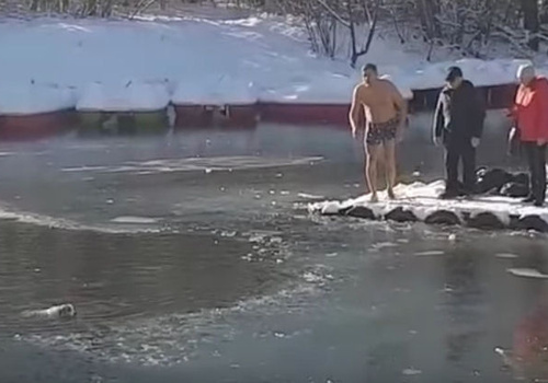 Крымчанин нырнул в обледеневший пруд, чтобы спасти собаку