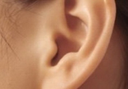 Домушника из Евпатории нашли по отпечаткам ушей