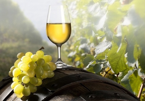 Винный туризм в Крыму: где можно продегустировать хорошее вино?