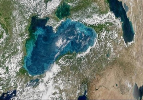 Специалисты объяснили из-за чего у берегов Ялты изменился цвет морской воды