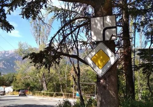 В Ялте дорожные знаки вешают прямо на деревья 