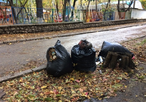 Севастопольское ноу-хау по уборке листвы «обросло» бытовым мусором ФОТО