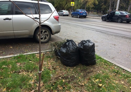 Севастопольское ноу-хау по уборке листвы «обросло» бытовым мусором ФОТО